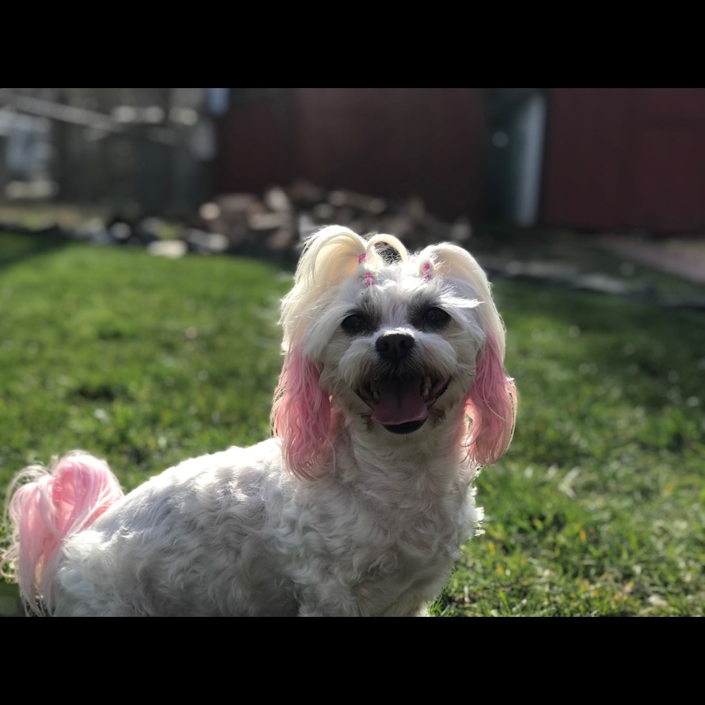 Meet your Posher, Marlen